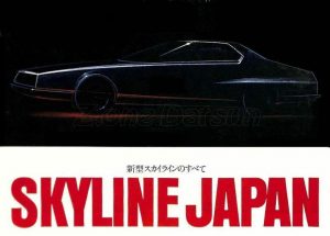 sky-1977-c210-japon