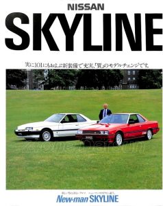 skyline-newman-rs