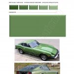 COULEUR VERTE 302 PEINTURE DATSUN CHRONO