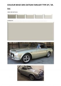 Copie de COULEUR BEIGE GRIS METAL 531 fairlady